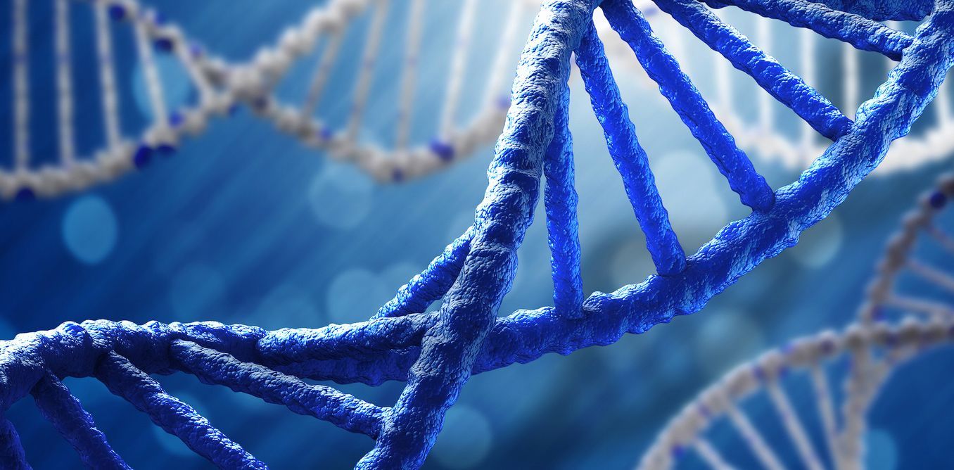 DNA:Το Δεσοξυριβονουκλεϊκό Οξύ | Biology.gr