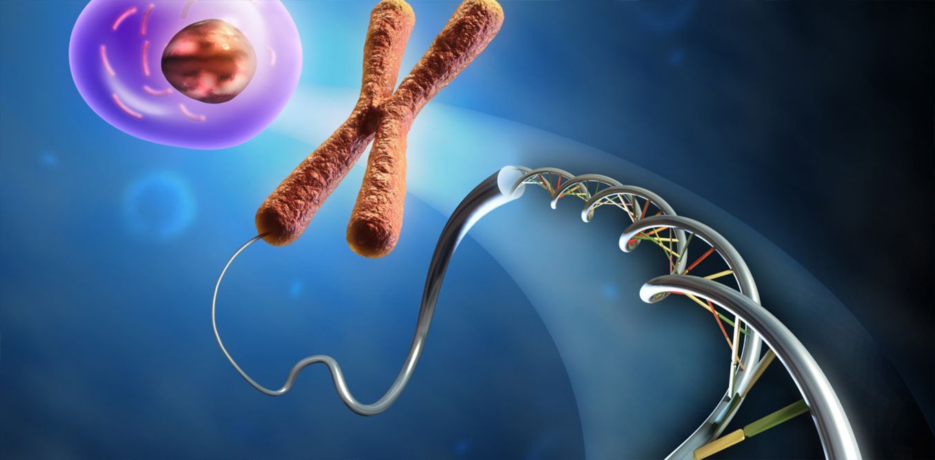 Video (Εκπαιδευτική τηλεόραση) | Biology.gr
