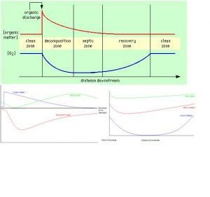 sag curve 1