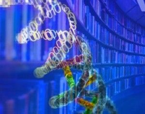 cd dna 4