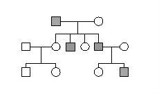 y chromosome 1 tree