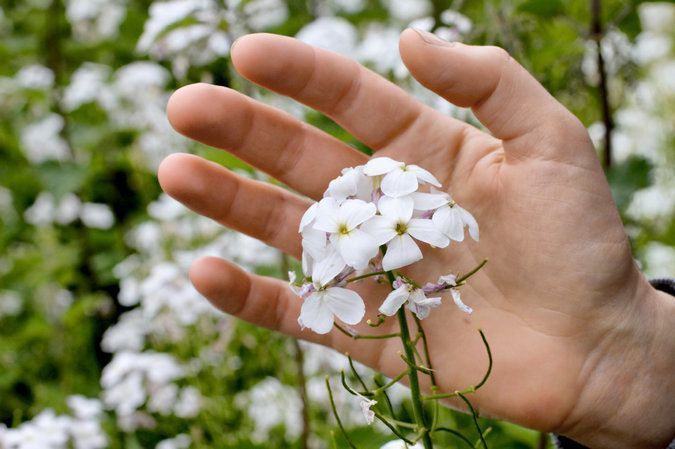 14SKIN-master675