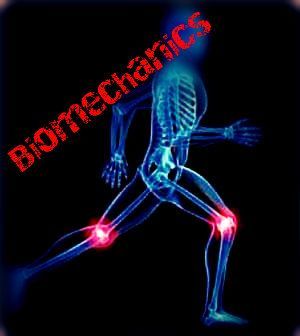 biomechanics-copy1