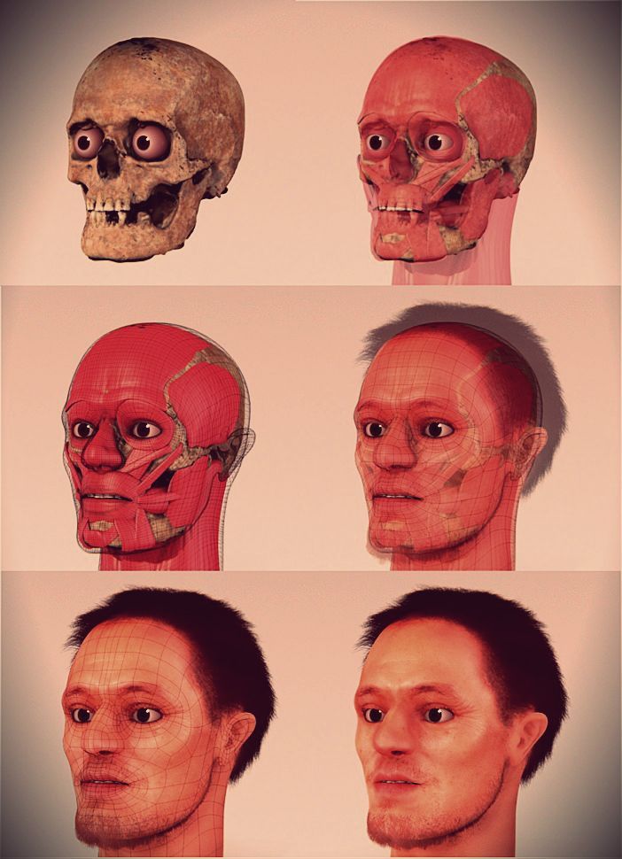 Forensic_facial_reconstruction