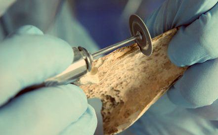 Neanderthal_DNA_extraction-SPL