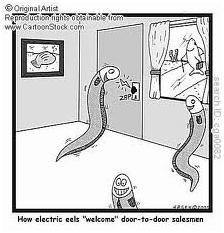 eel2