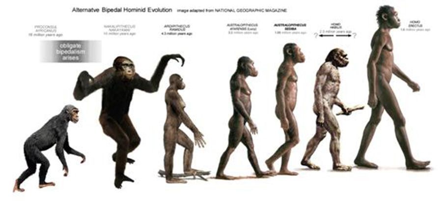 Οι σκύλοι ξέρουν πότε γελάς! | Biology.gr