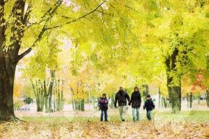 bl-family-in-park