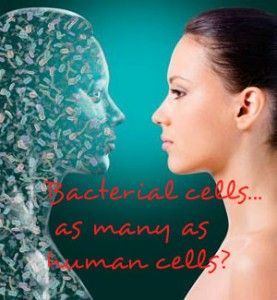 map-of-the-healthy-human-microbiome (2)