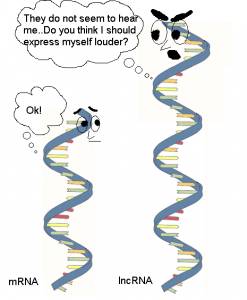 mrna