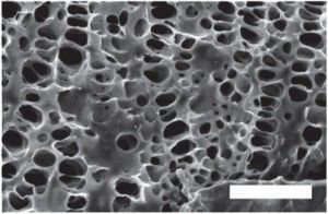 porous