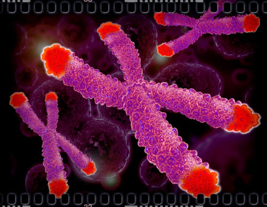 Η MEΓΑΛΗ ΜΑΧΗ της τεχνολογίας με τον καρκίνο | Biology.gr