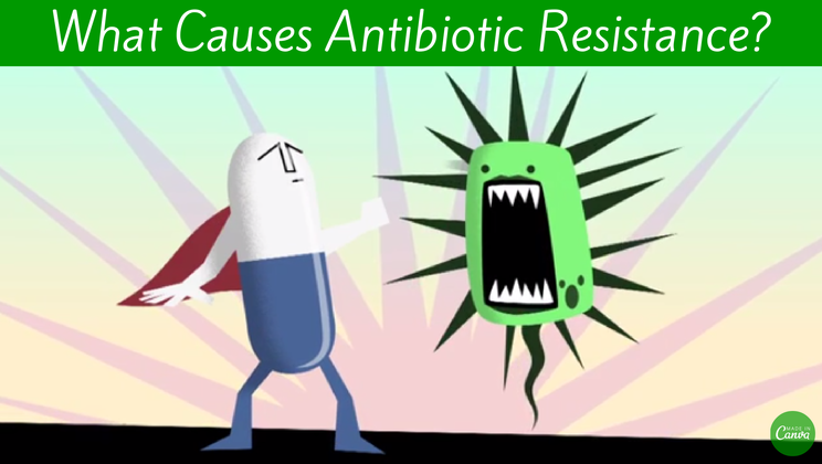 what-causes-antibiotic-resistance
