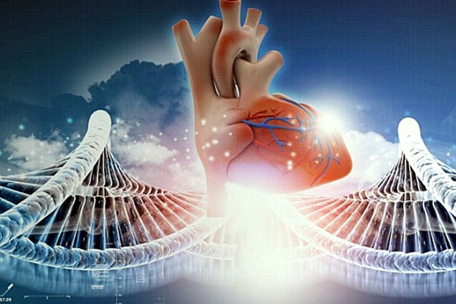 Το χασμουρητό είναι ΜΕΤΑΔΟΤΙΚΟ!? | Biology.gr